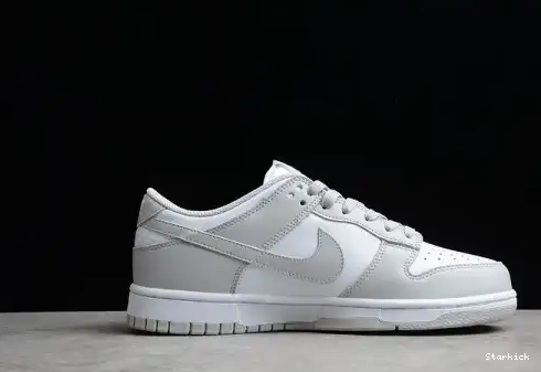 Low Dunk Nike Grey Fog DD1391-103 0610
